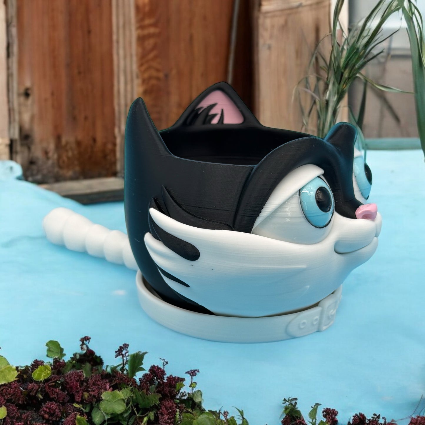 Cat Bowl / Planter
