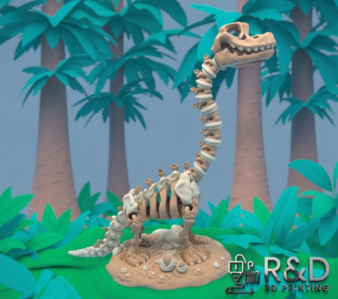 Skeleton Brachiosaurus