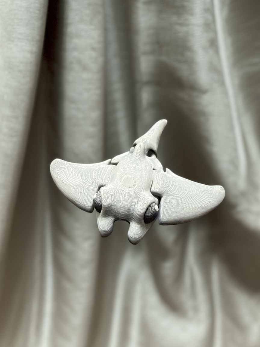 Mini Manta Ray Hatchling