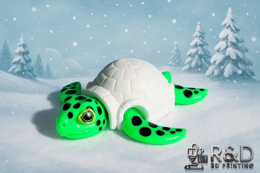 Igloo Turtle