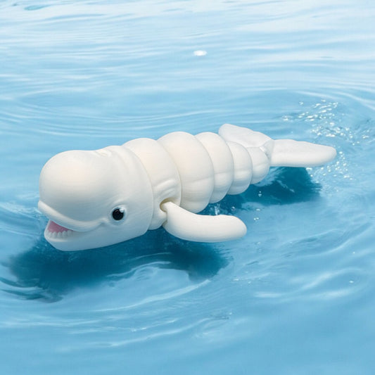 Beluga Whale