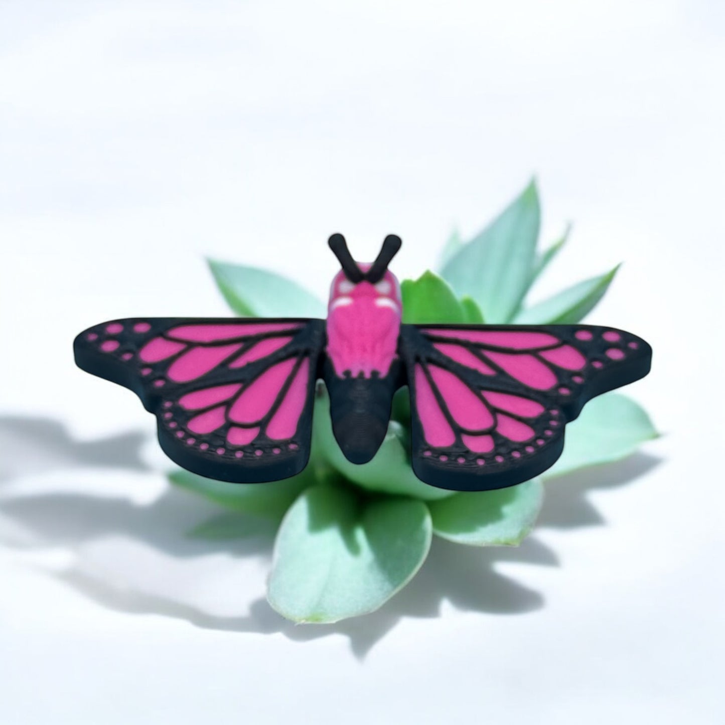 Mini Butterfly