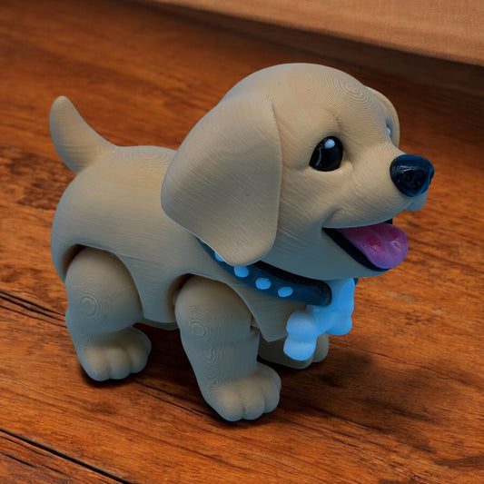 Labrador Puppy