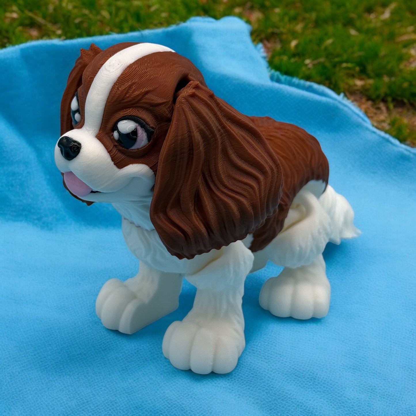 King Charles Cavalier