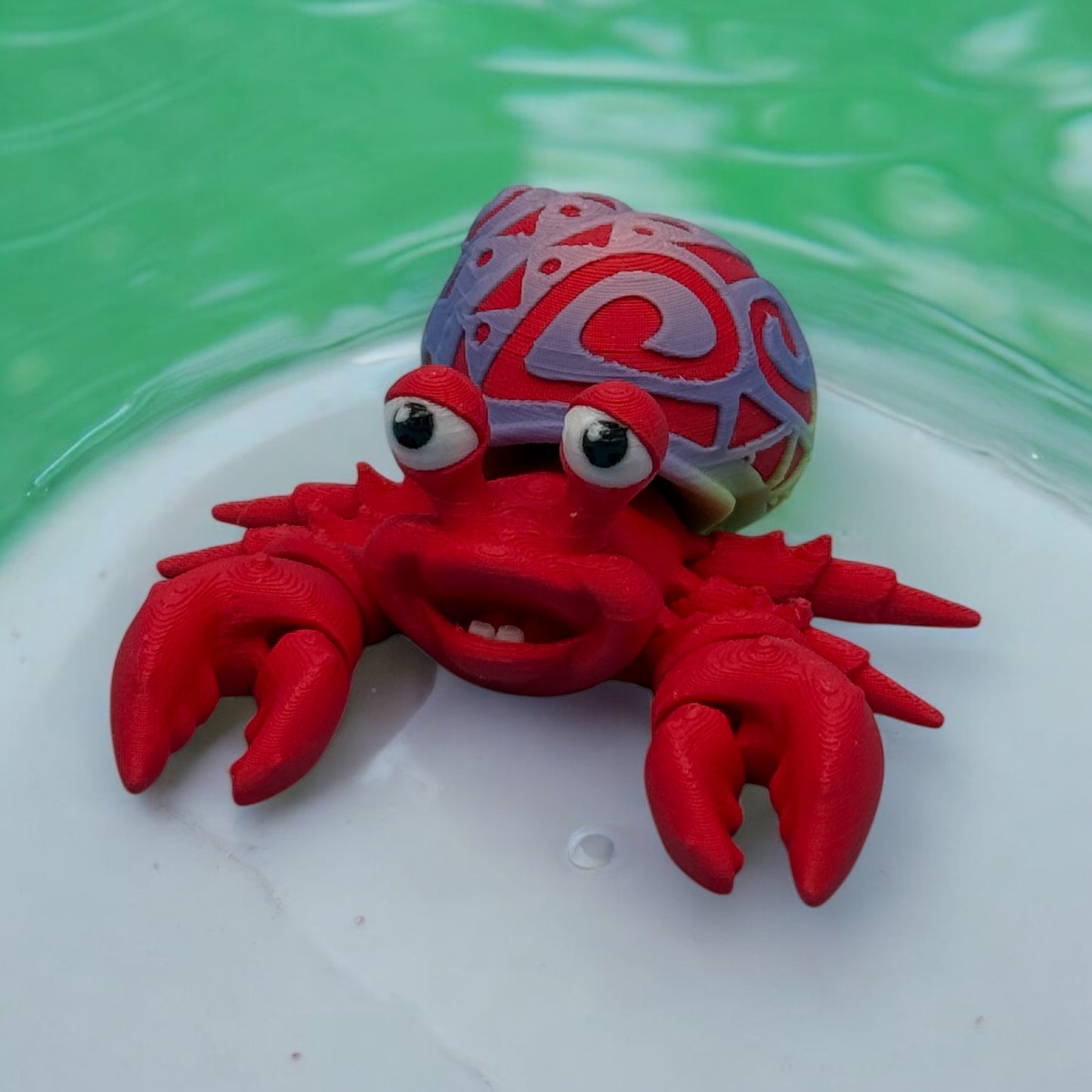 Tattooed Hermit Crab (Boy)