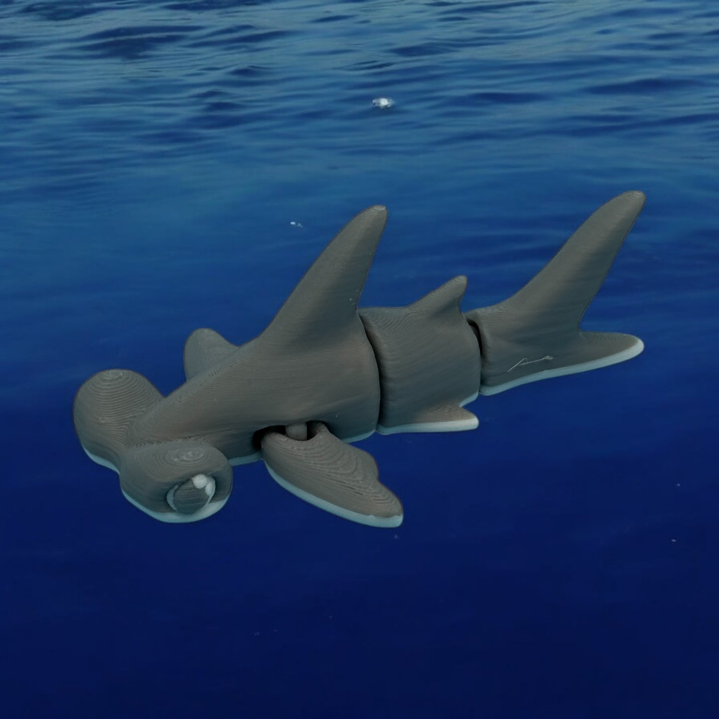 Tiny Hammerhead Shark