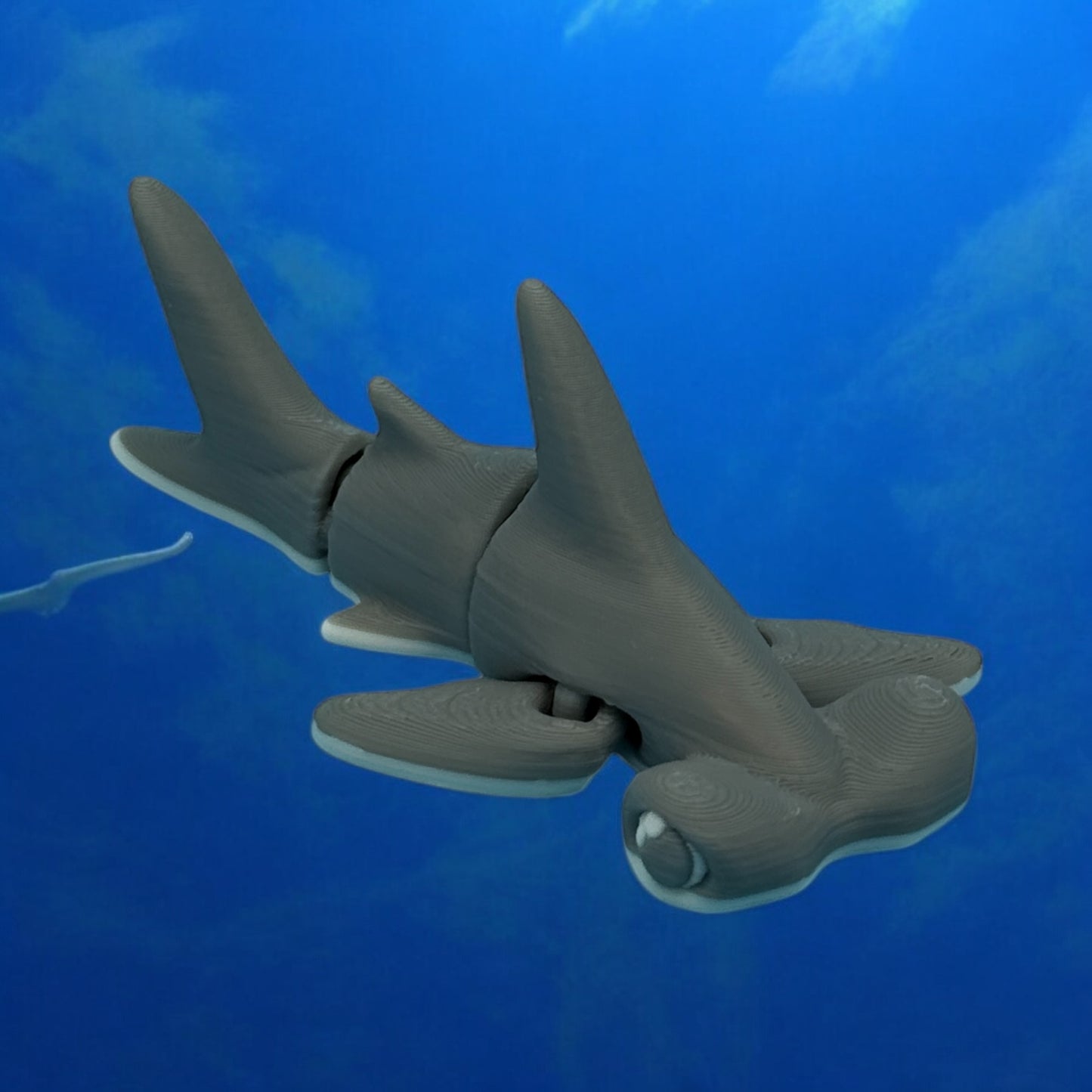 Tiny Hammerhead Shark