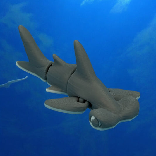 Tiny Hammerhead Shark