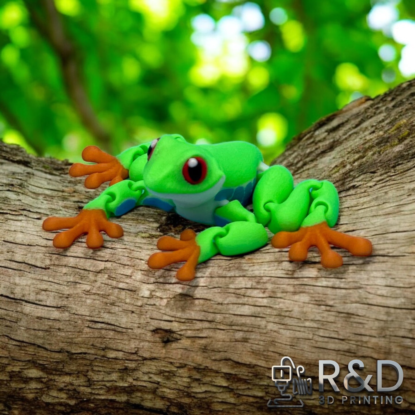 Red Eyed Tree Frog