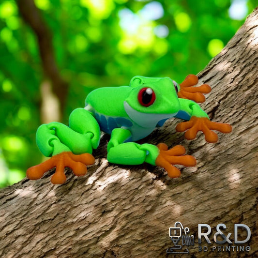 Red Eyed Tree Frog