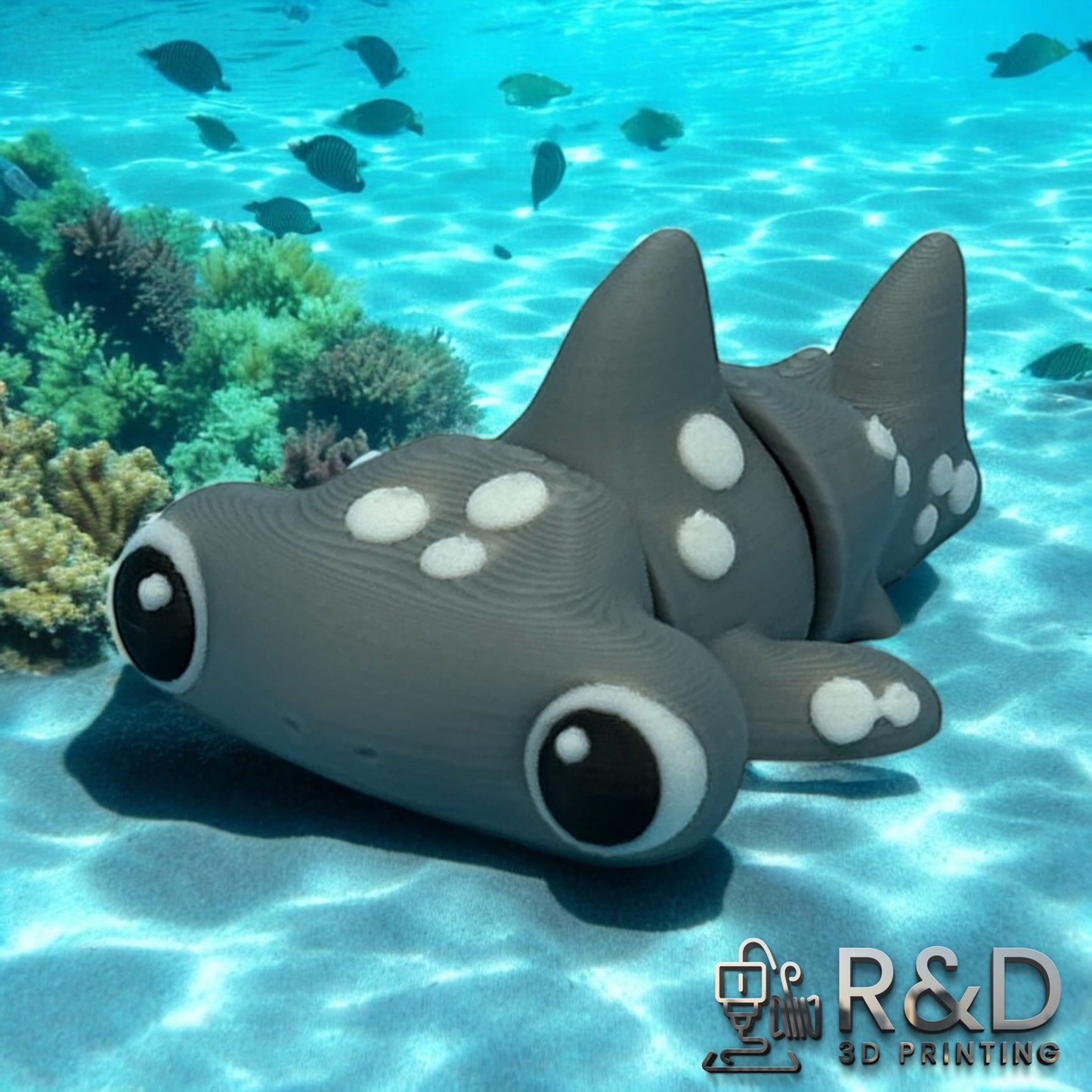 Mini Hammerhead Shark