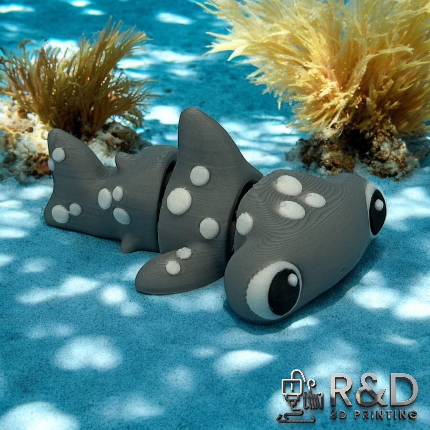 Mini Hammerhead Shark