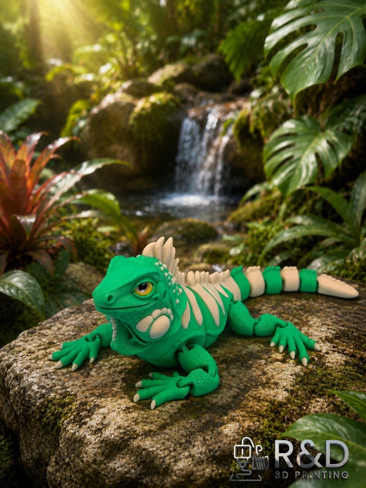 Iguana