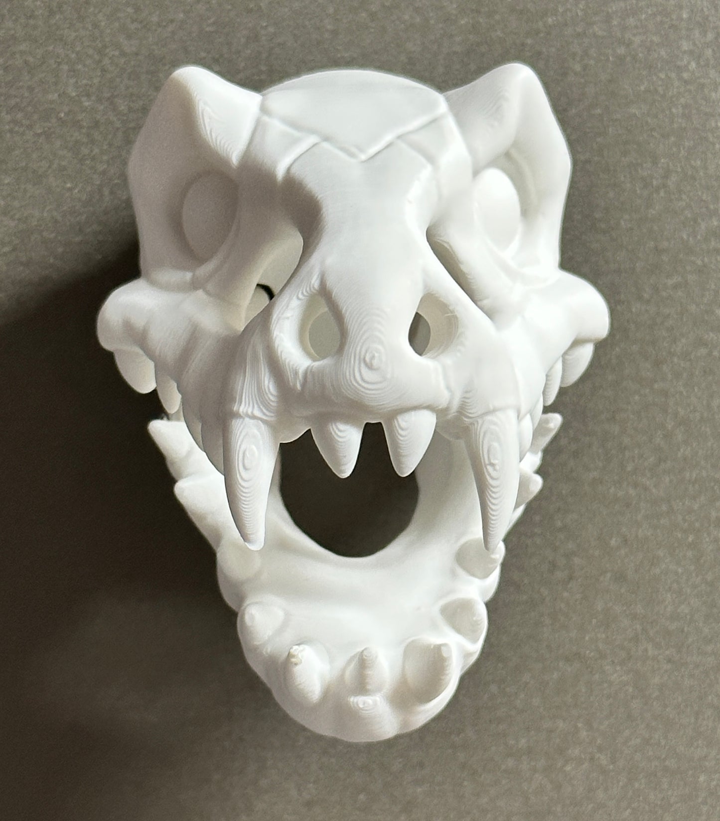 Dino Skull Magnet