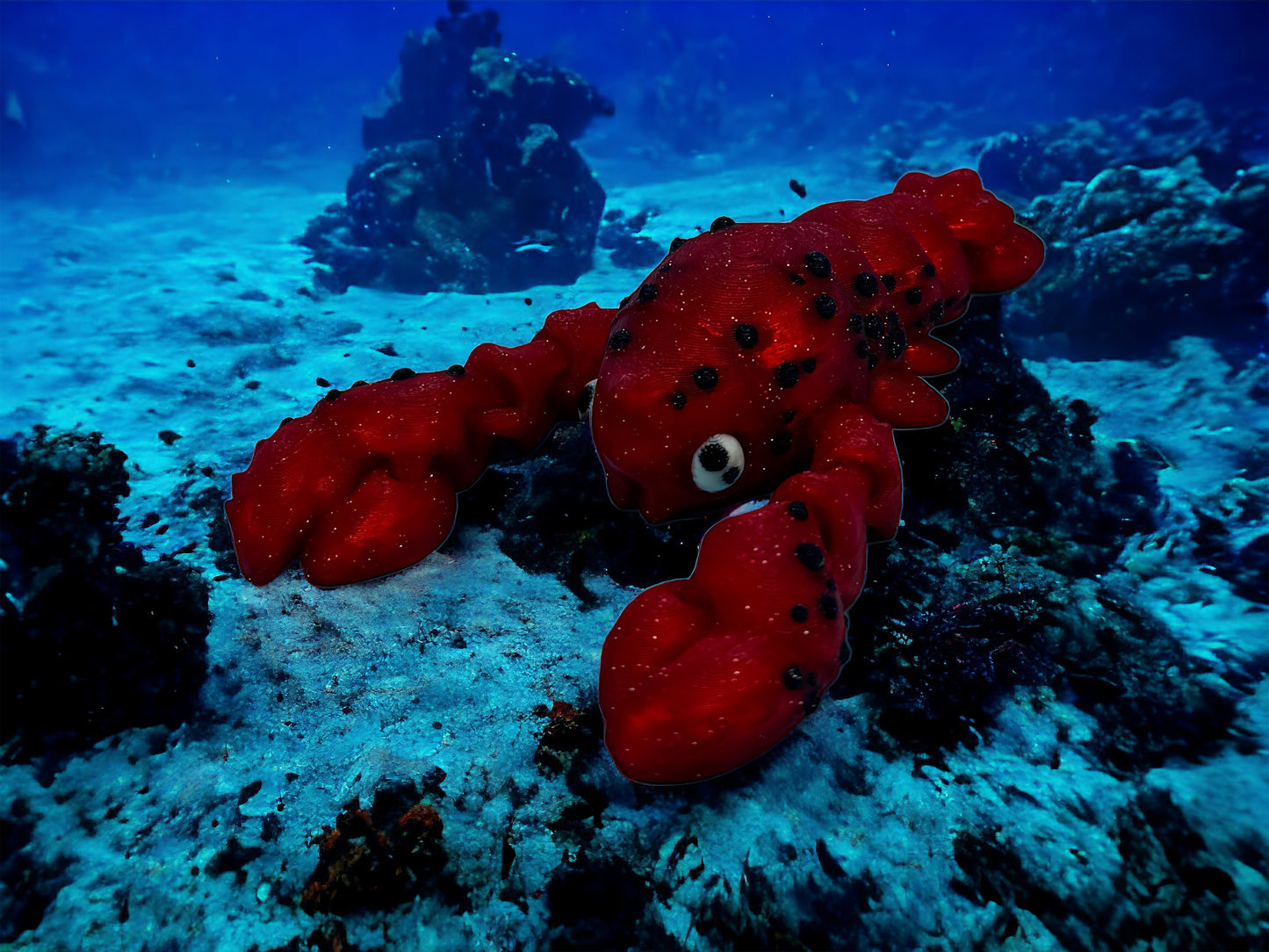 Lobster w/Pail
