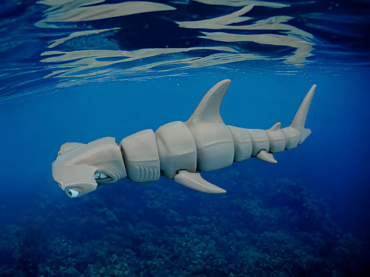 Hammerhead Shark