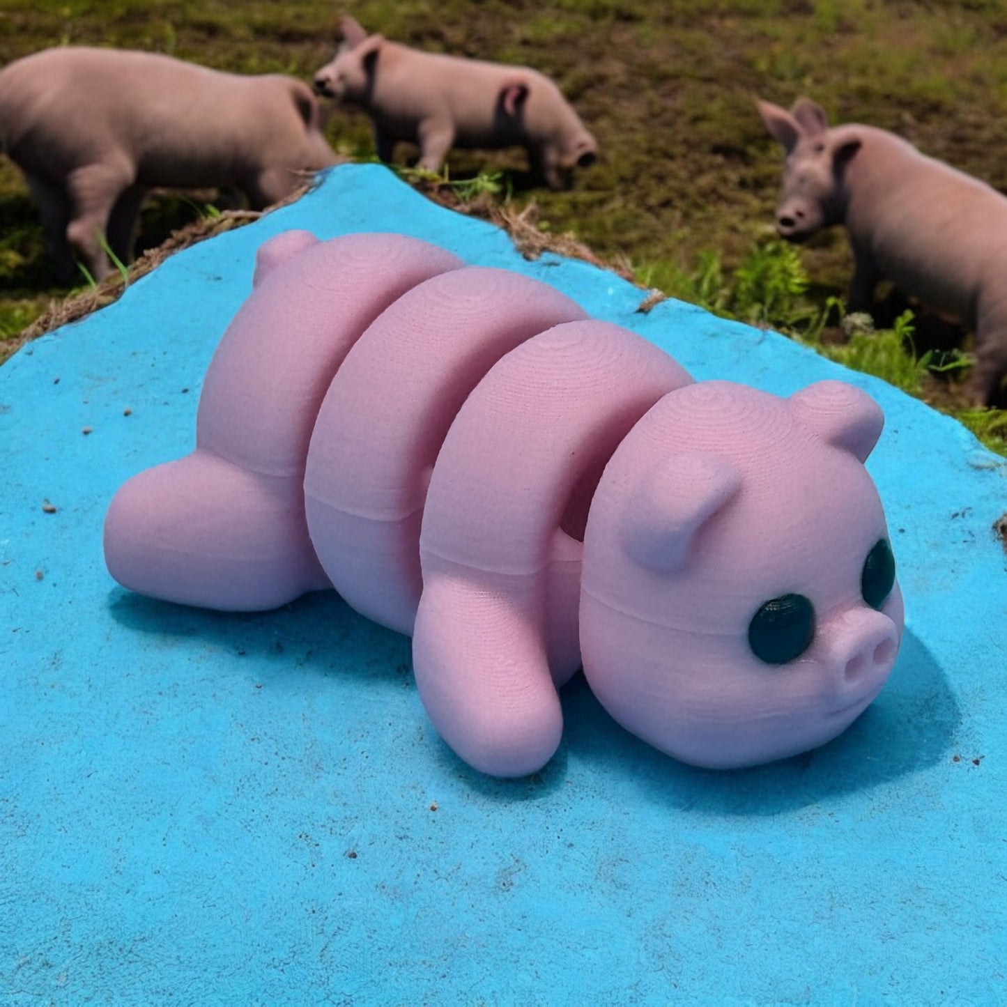 Mini Pig