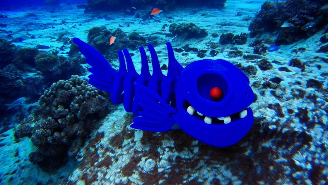 Skeleton Fish