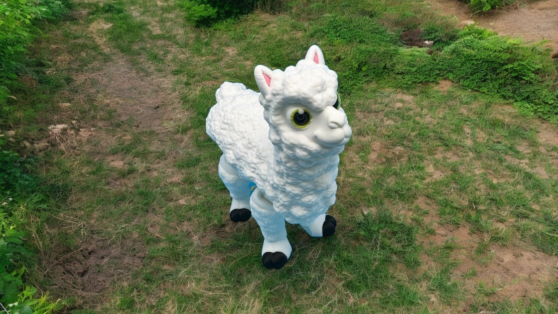 Alpaca