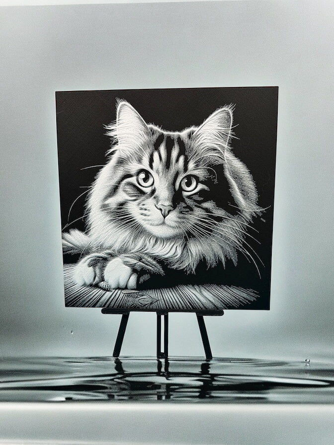 Cat - HueForge w/ frame