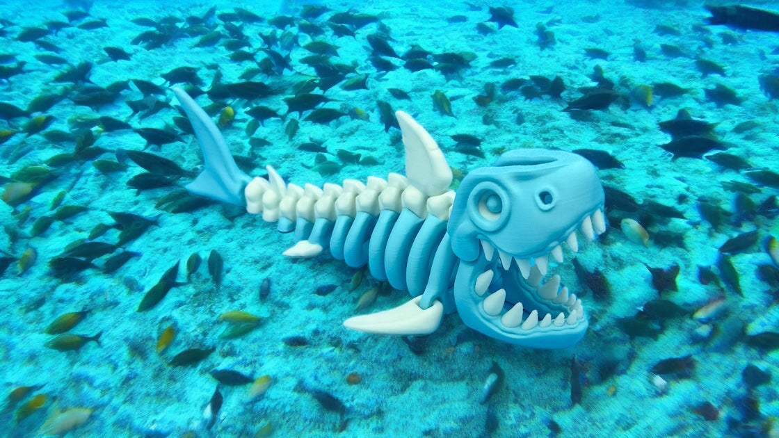 Skeleton Shark