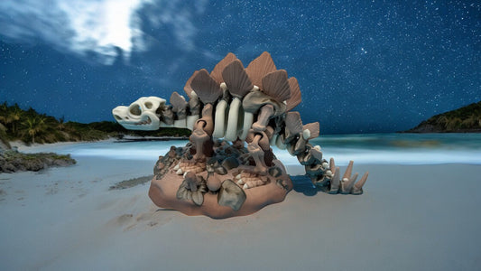 Skeleton Stegosaurus