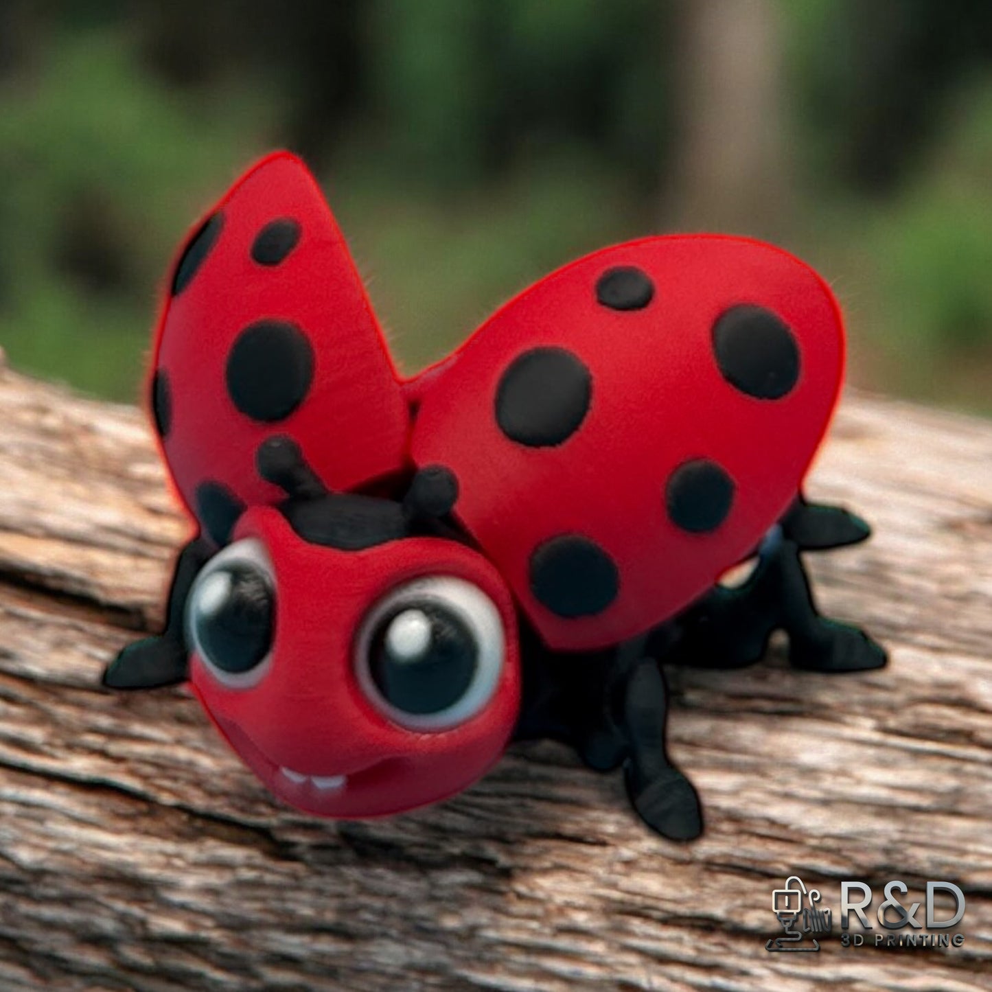 Lady Bug