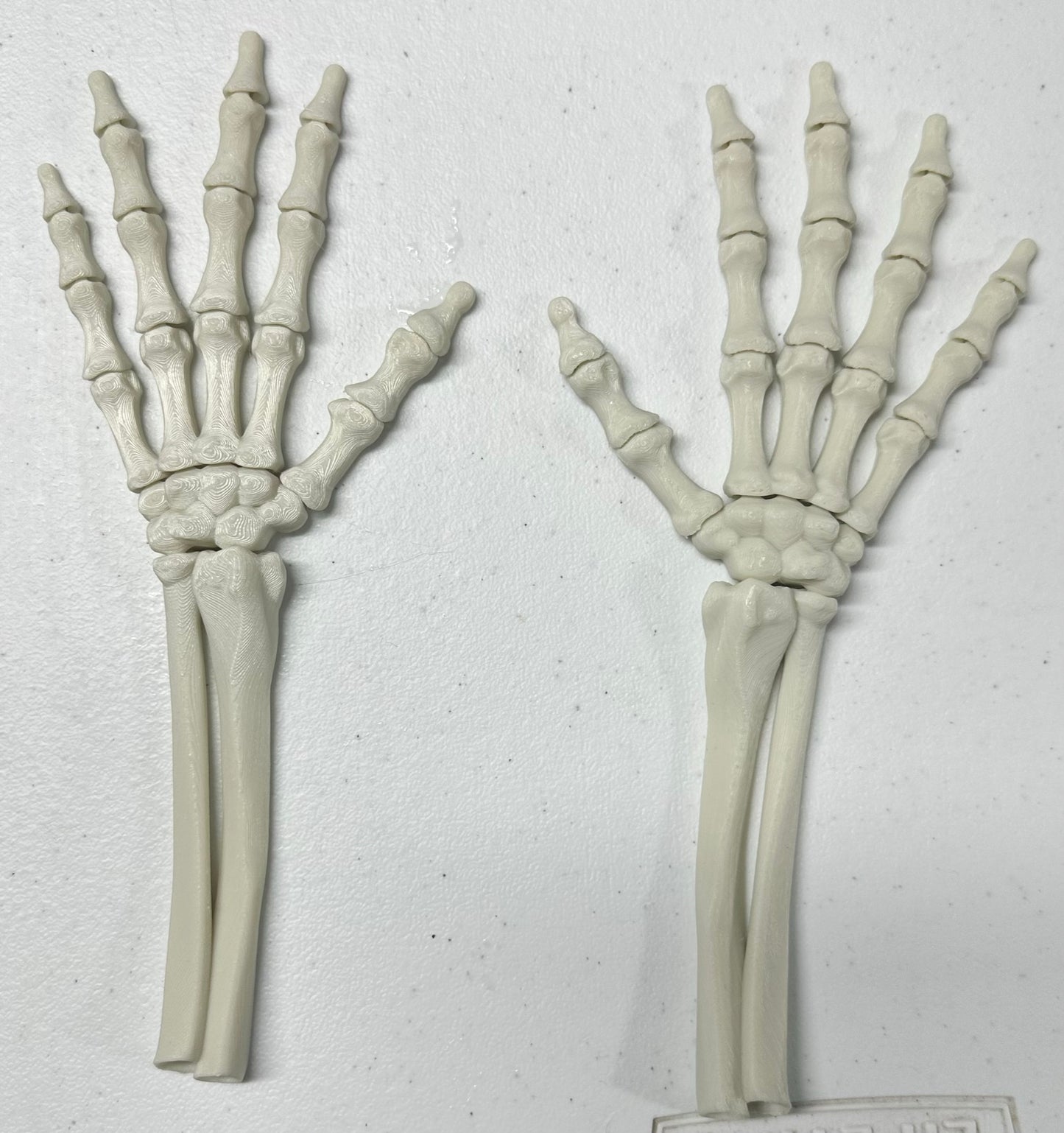 Skeleton Hands
