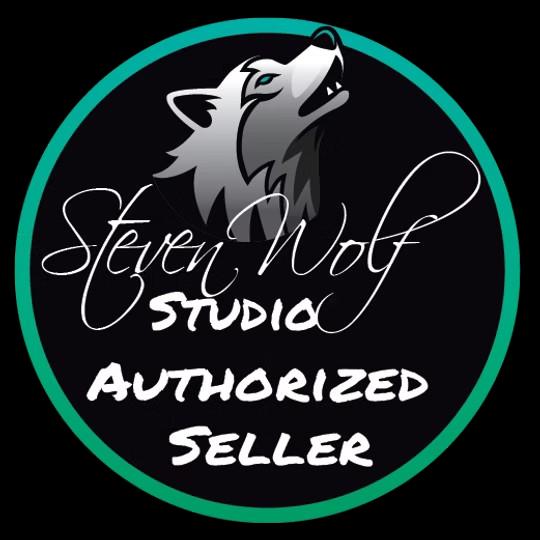 Steven Wolf Studio