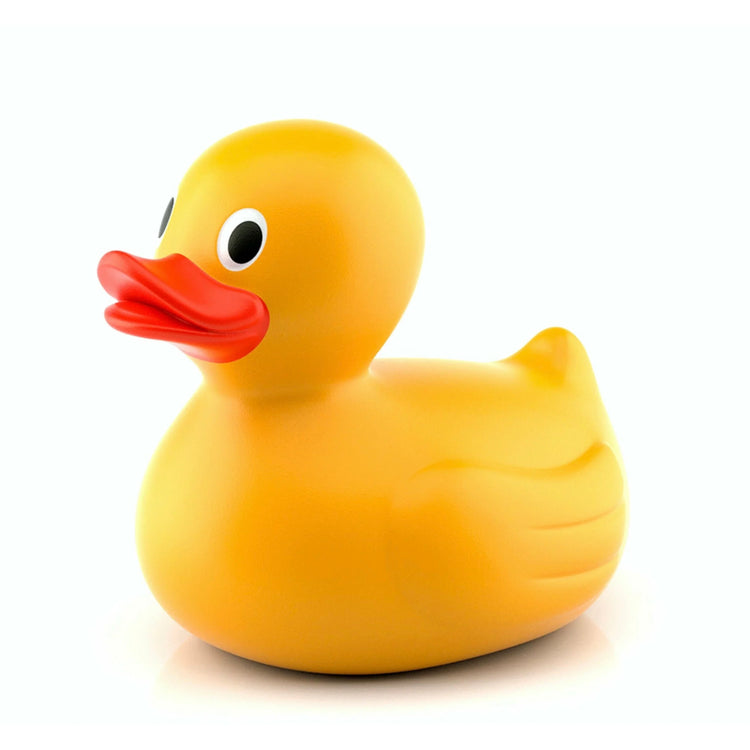 Ducks