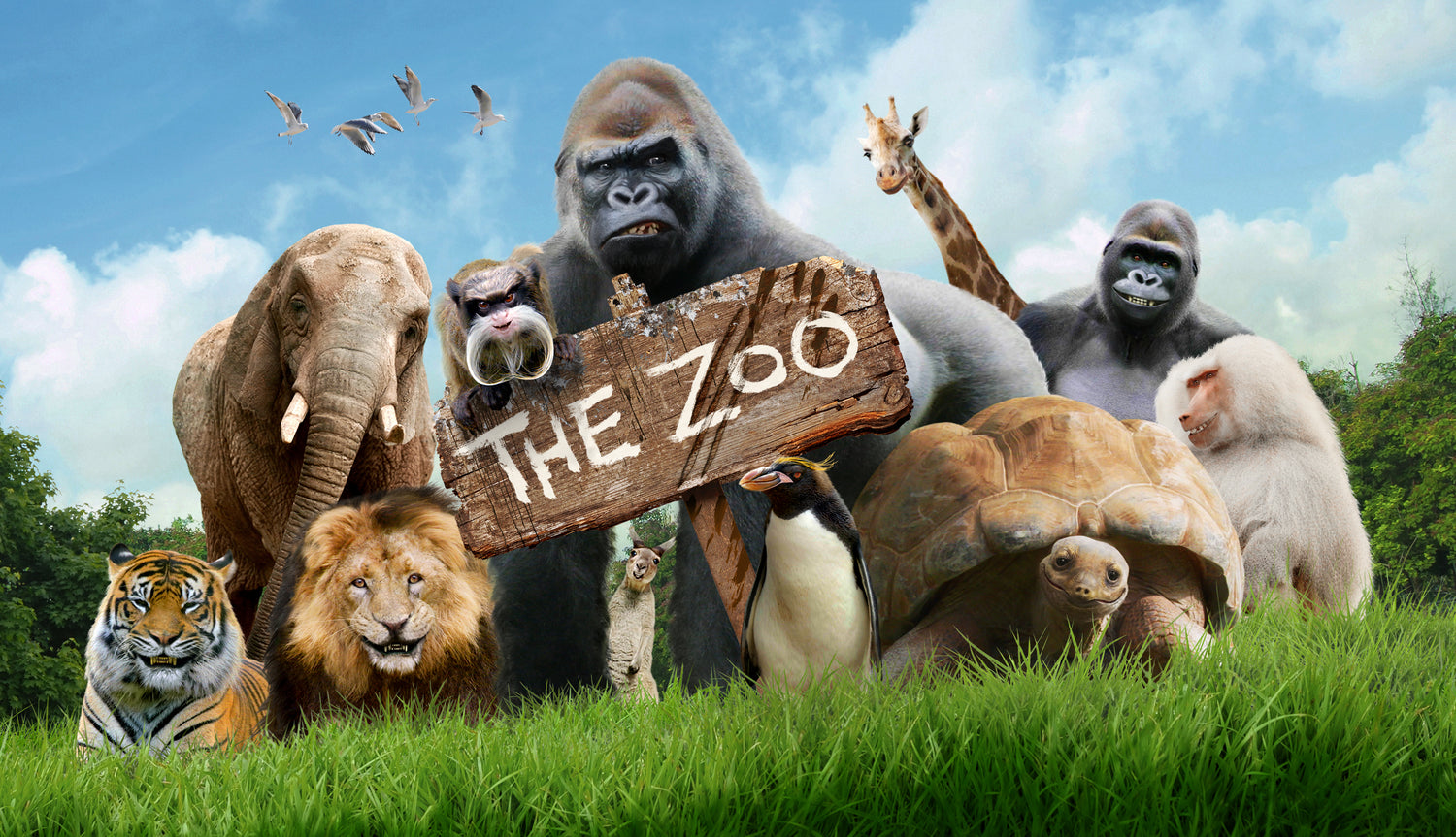 Zoo