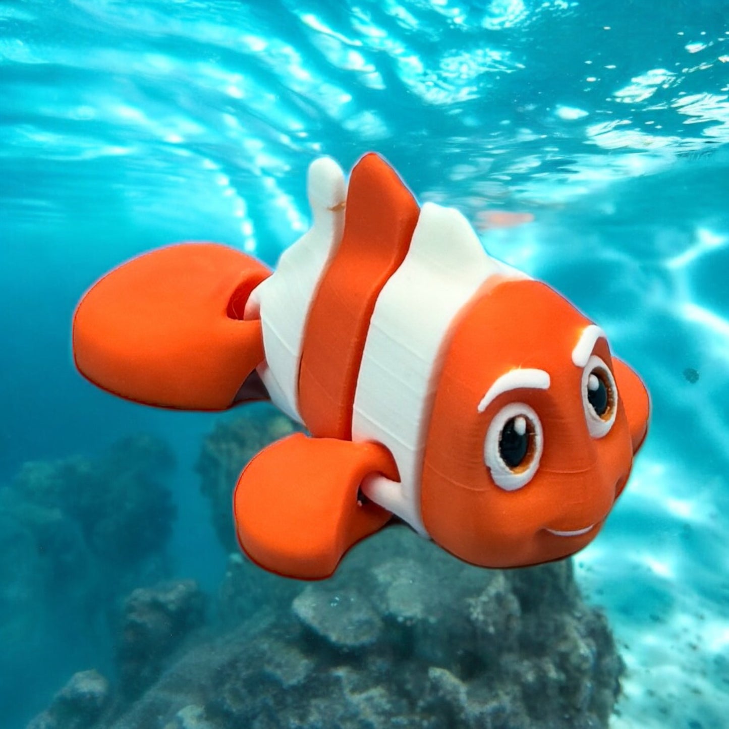 Clown Fish