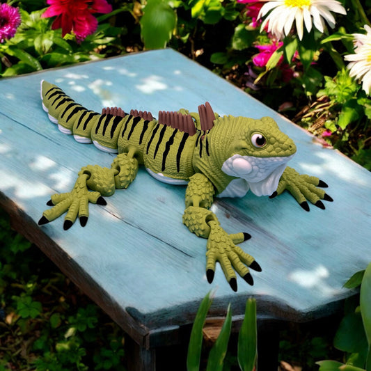 Iguana (Iggy)