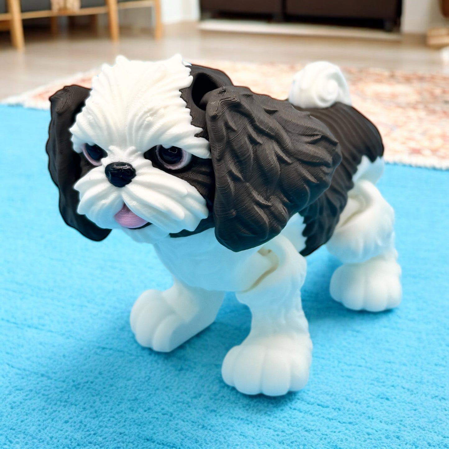 Shih Tzu