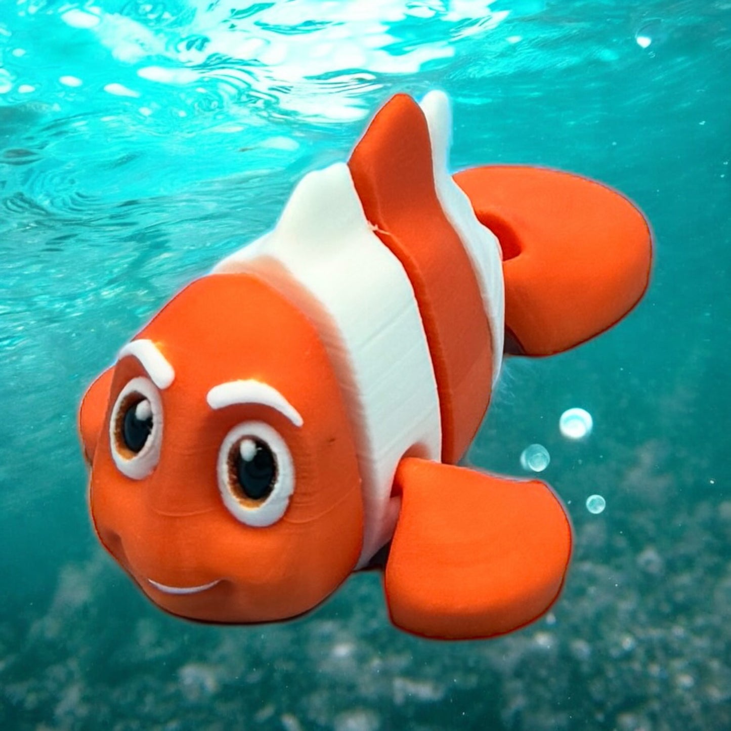 Clown Fish