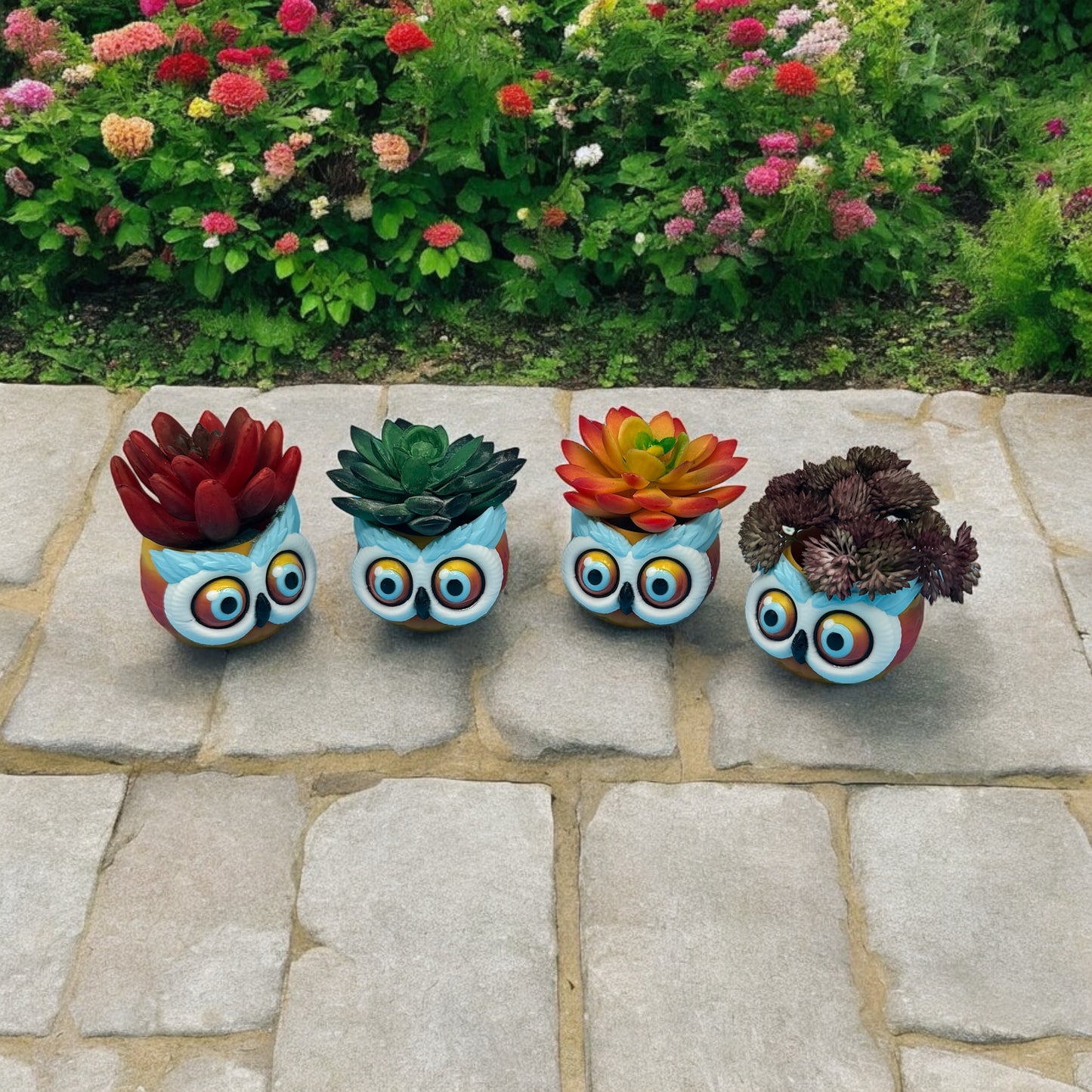 Owl Bowl / Planter