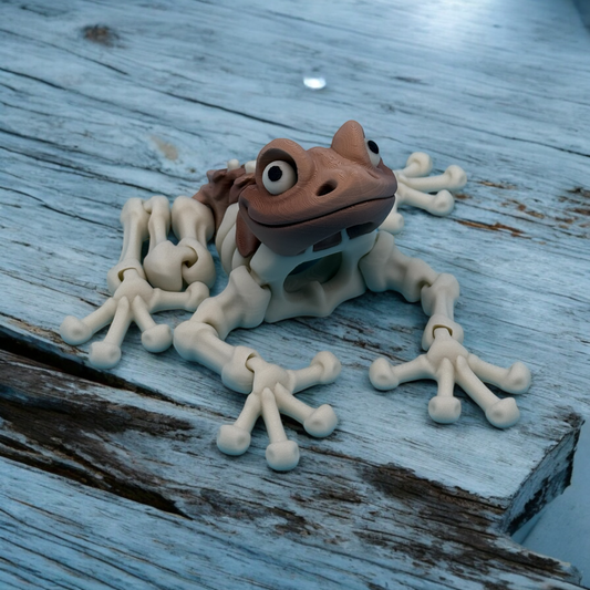 Skeleton Frog