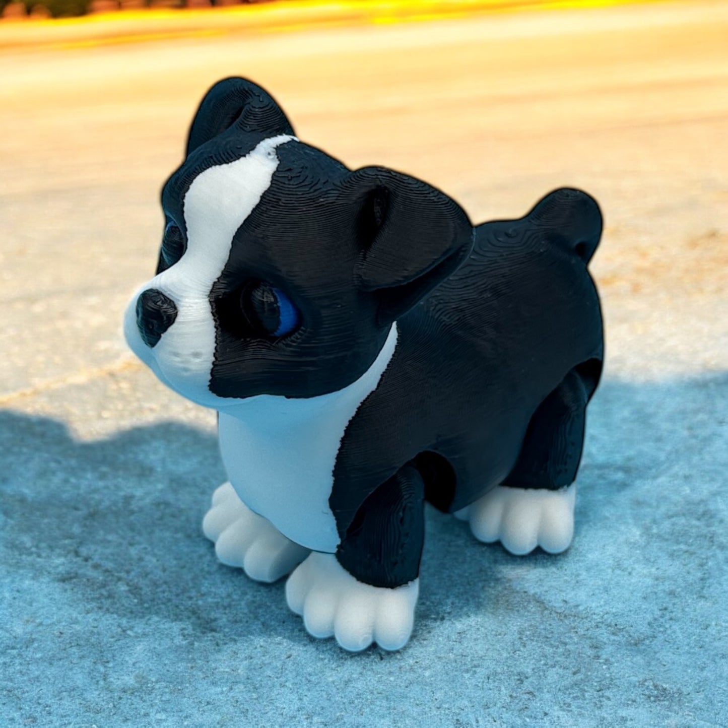 Mini Boston Terrier