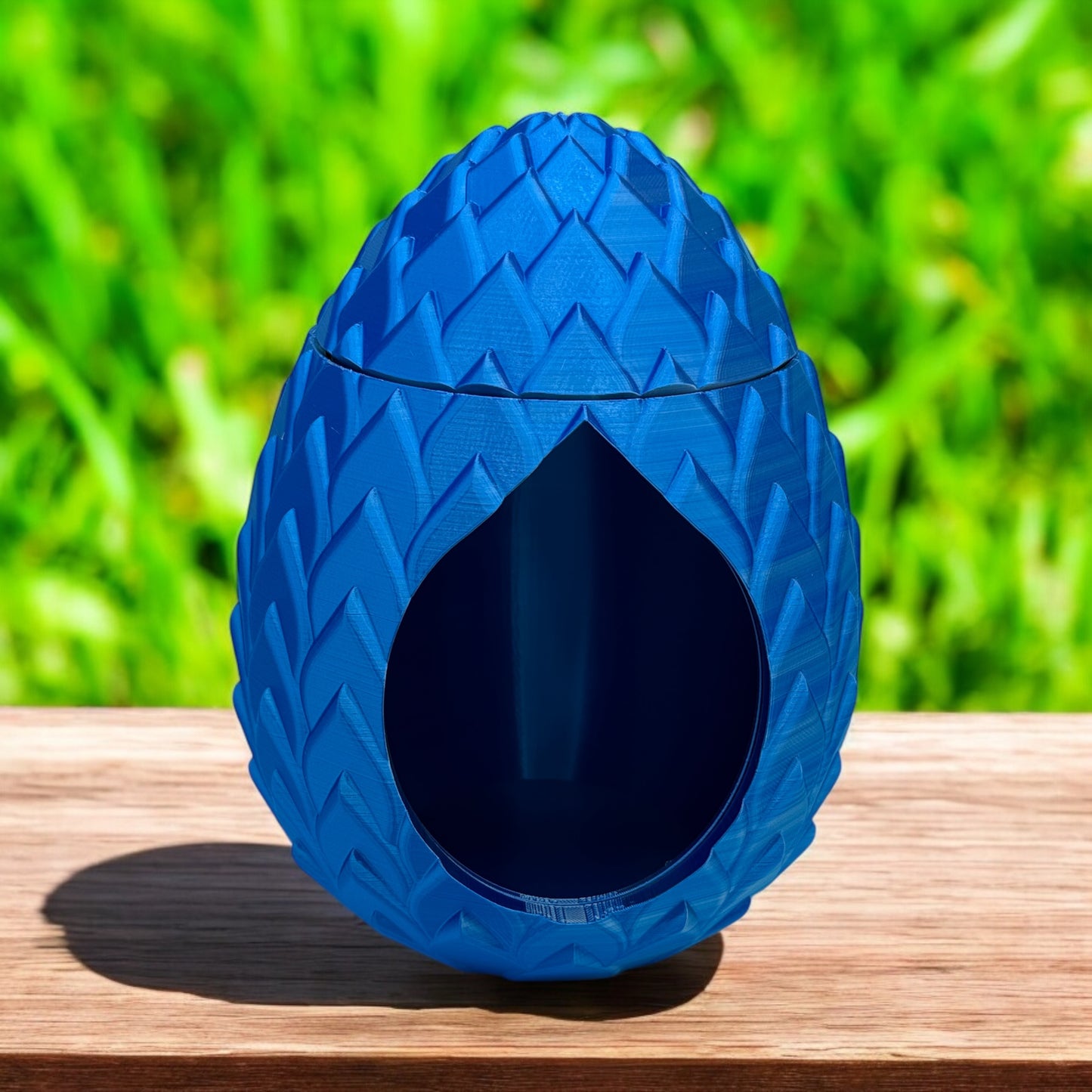 Captive Dragon Egg