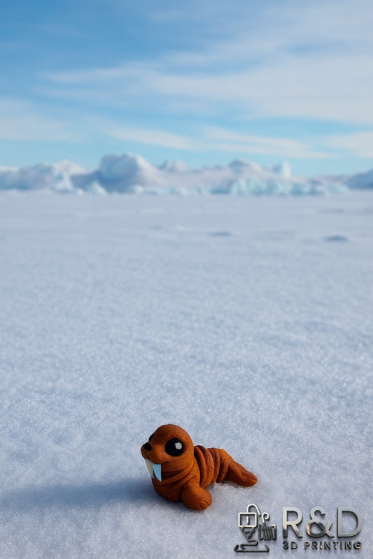 Mini Walrus Hatchling