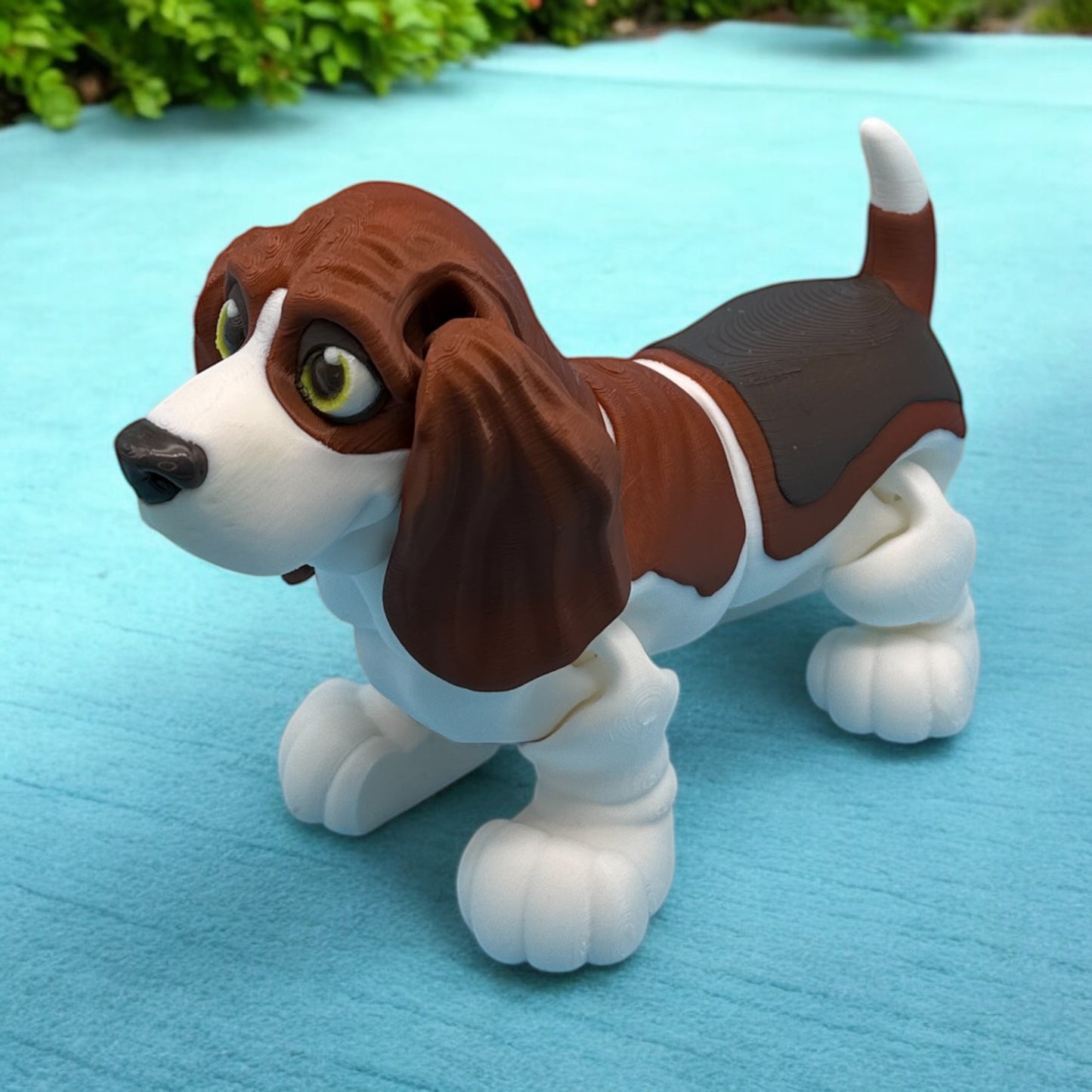 Basset Hound