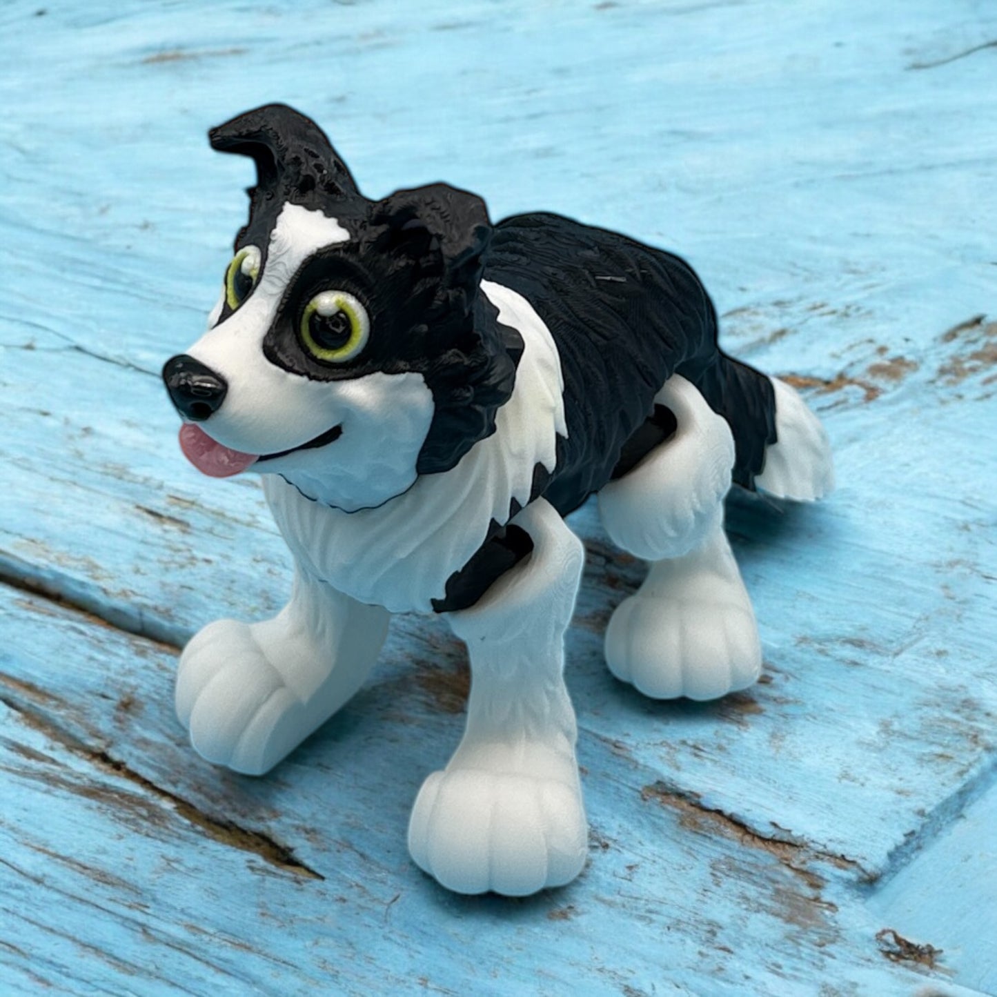 Border Collie