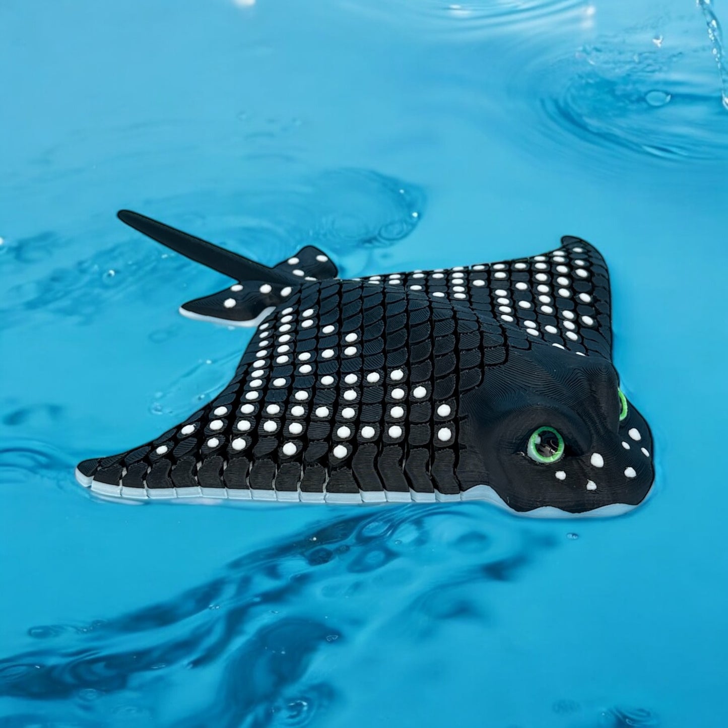 Spotted Eagle Ray