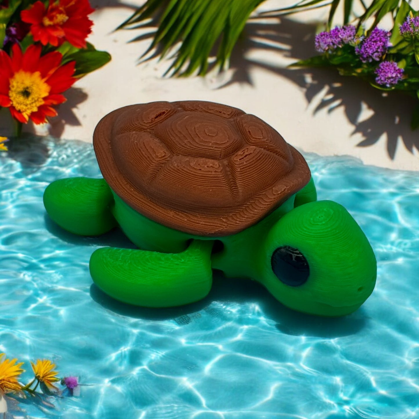 Baby Turtle