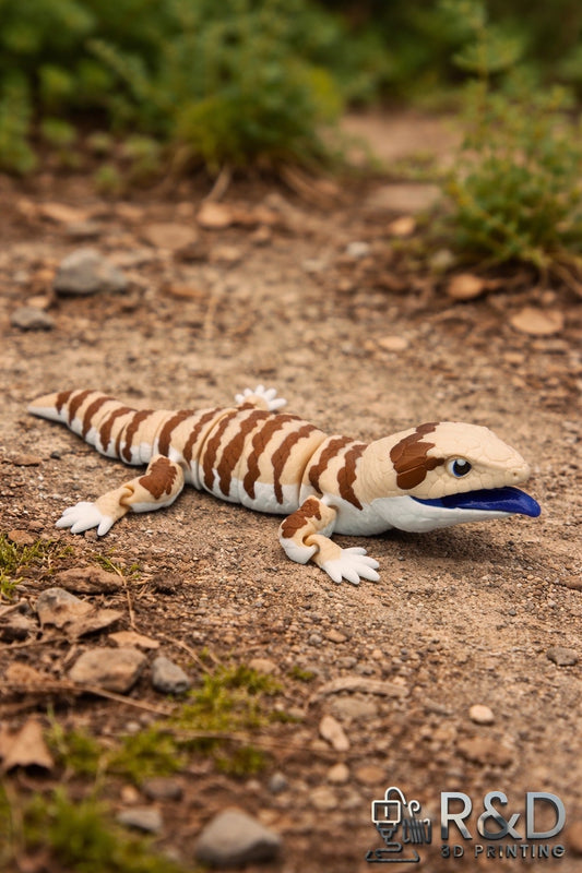 Blue Tongued Skink