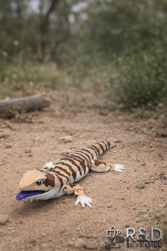 Blue Tongued Skink