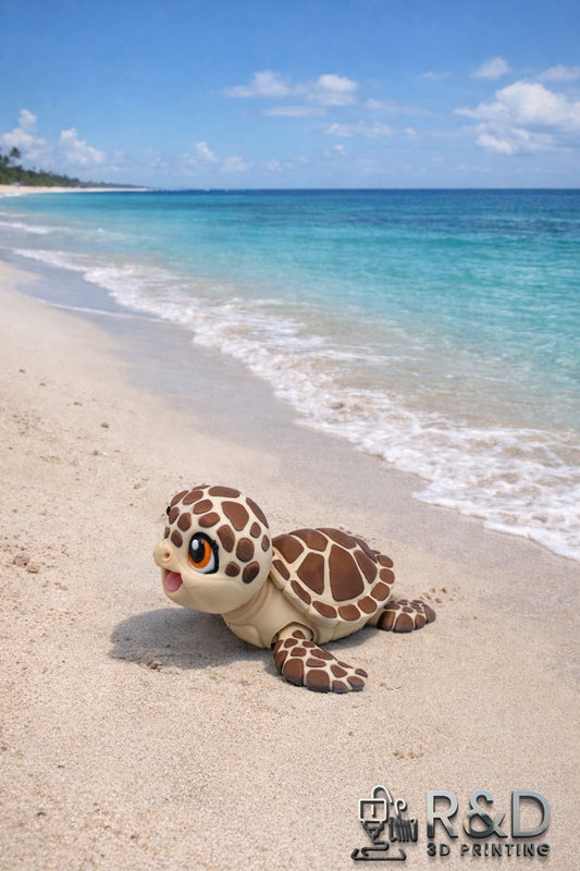 Baby Sea Turtle