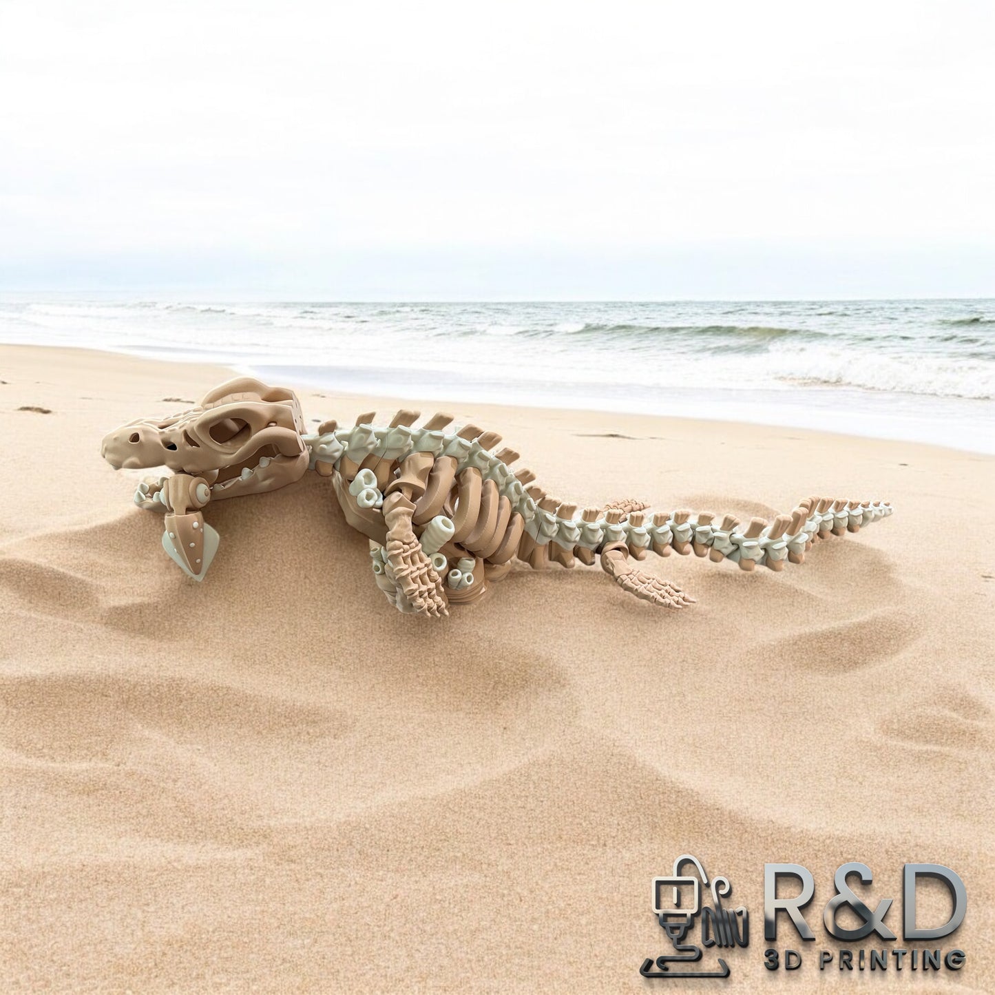 Skeleton Mosasarus