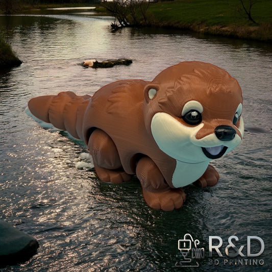 Baby Otter