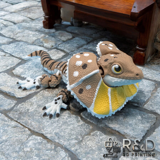 Frilled Neck Lizard